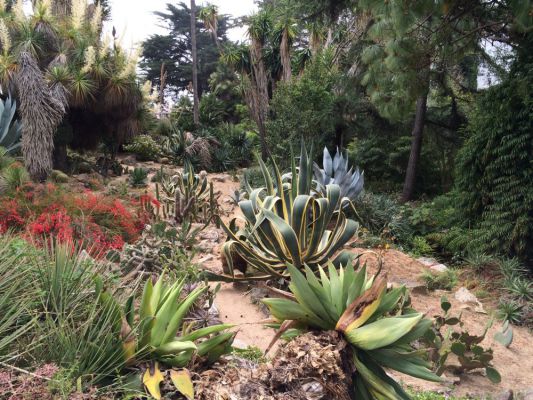 Klikněte pro zobrazení původního (velkého) obrázku