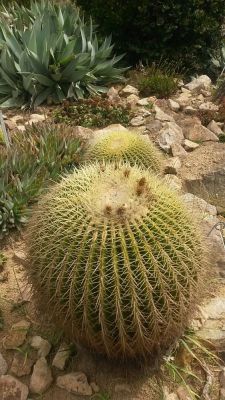 Klikněte pro zobrazení původního (velkého) obrázku