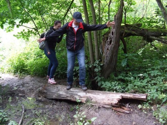 Klikněte pro zobrazení původního (velkého) obrázku