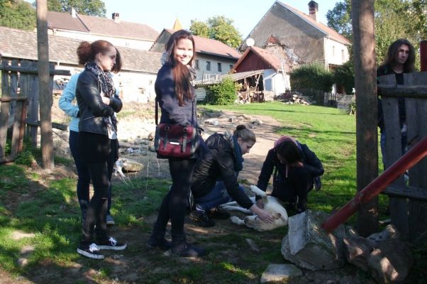 Klikněte pro zobrazení původního (velkého) obrázku