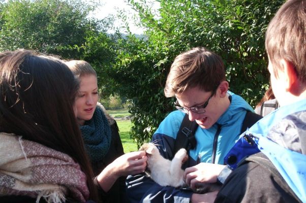 Klikněte pro zobrazení původního (velkého) obrázku