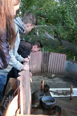 Klikněte pro zobrazení původního (velkého) obrázku