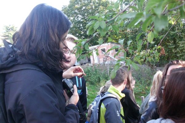 Klikněte pro zobrazení původního (velkého) obrázku