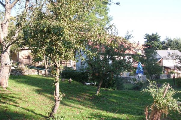 Klikněte pro zobrazení původního (velkého) obrázku