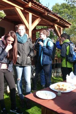 Klikněte pro zobrazení původního (velkého) obrázku