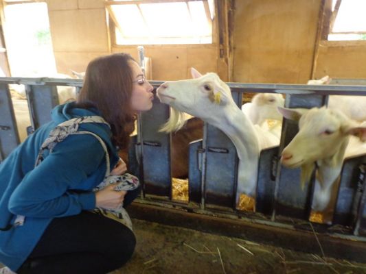 Klikněte pro zobrazení původního (velkého) obrázku