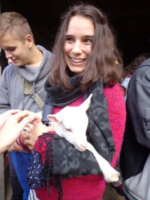 Klikněte pro zobrazení původního (velkého) obrázku