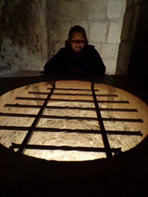 Klikněte pro zobrazení původního (velkého) obrázku