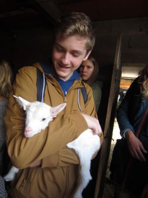 Klikněte pro zobrazení původního (velkého) obrázku