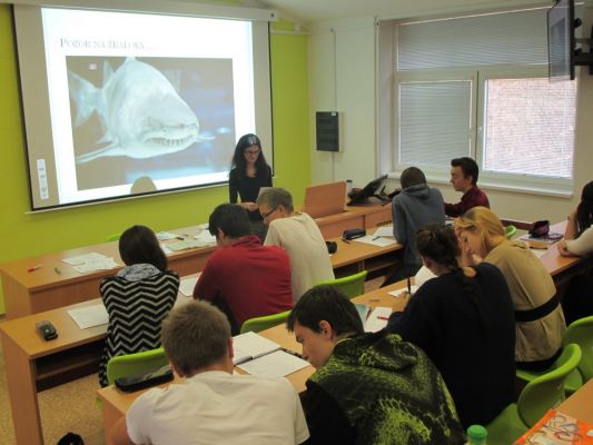 Klikněte pro zobrazení původního (velkého) obrázku