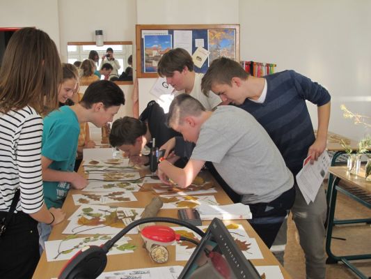 Klikněte pro zobrazení původního (velkého) obrázku