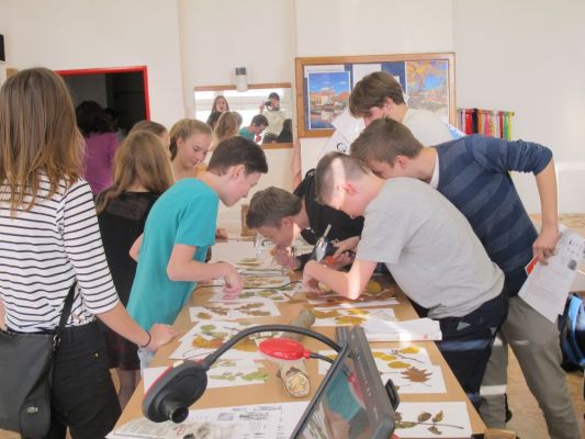 Klikněte pro zobrazení původního (velkého) obrázku