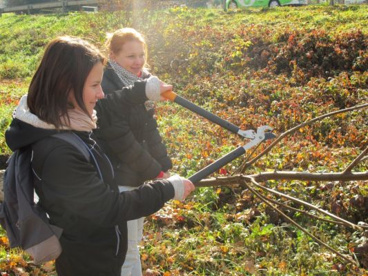 Klikněte pro zobrazení původního (velkého) obrázku
