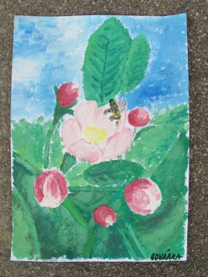 Klikněte pro zobrazení původního (velkého) obrázku