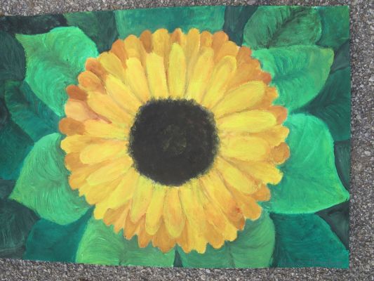 Klikněte pro zobrazení původního (velkého) obrázku