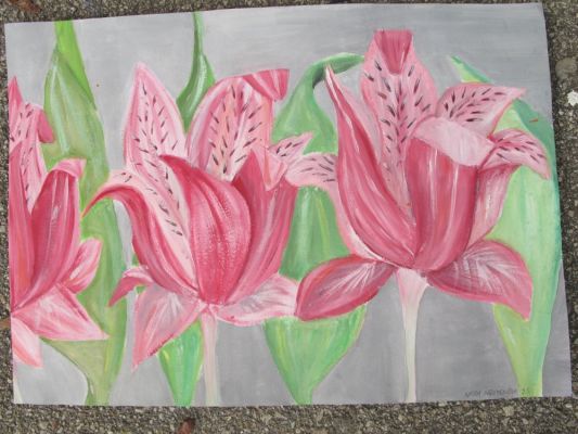 Klikněte pro zobrazení původního (velkého) obrázku