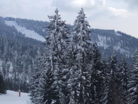 Klikněte pro zobrazení původního (velkého) obrázku