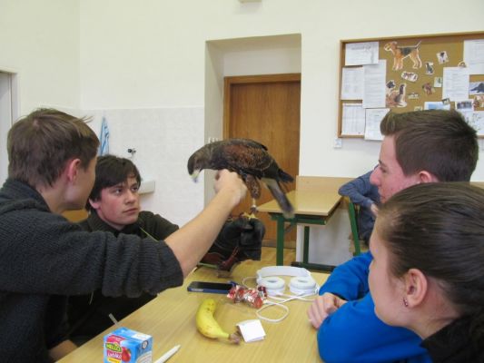 Klikněte pro zobrazení původního (velkého) obrázku