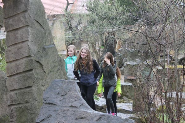 Klikněte pro zobrazení původního (velkého) obrázku