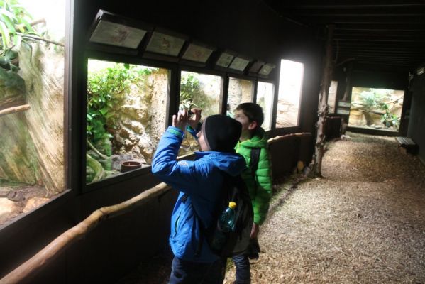 Klikněte pro zobrazení původního (velkého) obrázku