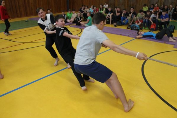 Klikněte pro zobrazení původního (velkého) obrázku