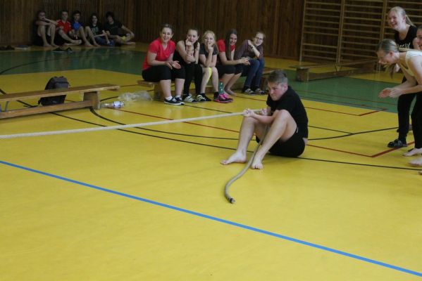 Klikněte pro zobrazení původního (velkého) obrázku