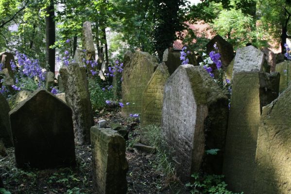 Klikněte pro zobrazení původního (velkého) obrázku