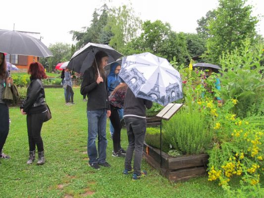 Klikněte pro zobrazení původního (velkého) obrázku