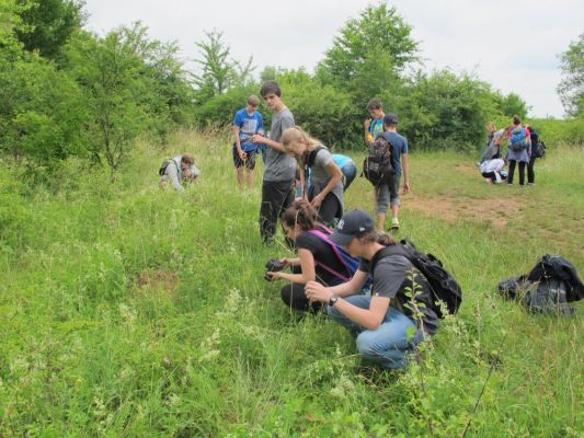 Klikněte pro zobrazení původního (velkého) obrázku