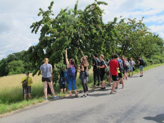 Klikněte pro zobrazení původního (velkého) obrázku