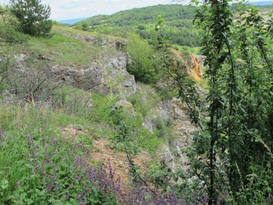 Klikněte pro zobrazení původního (velkého) obrázku