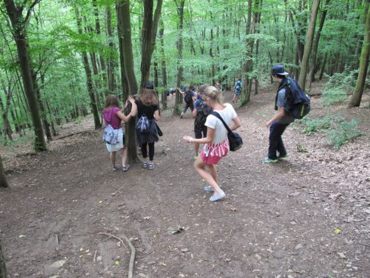 Klikněte pro zobrazení původního (velkého) obrázku