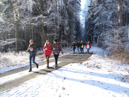 Klikněte pro zobrazení původního (velkého) obrázku
