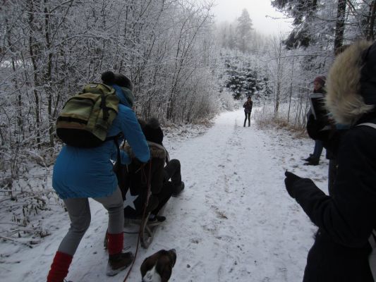 Klikněte pro zobrazení původního (velkého) obrázku