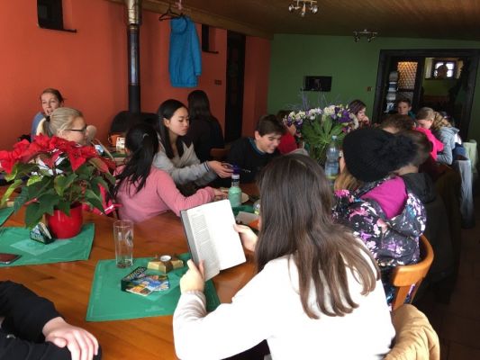 Klikněte pro zobrazení původního (velkého) obrázku