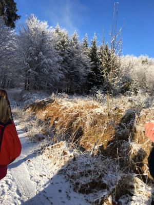 Klikněte pro zobrazení původního (velkého) obrázku