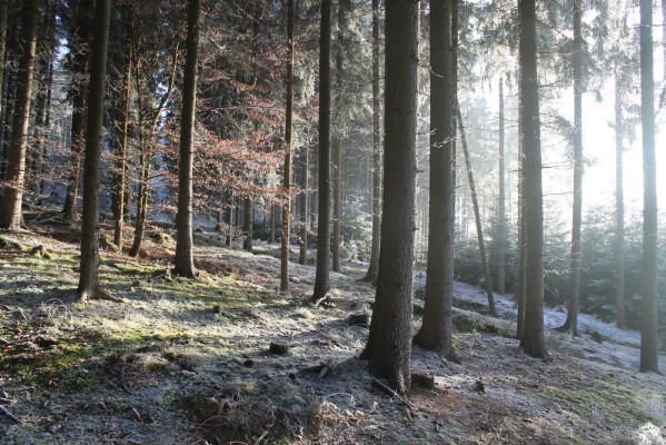 Klikněte pro zobrazení původního (velkého) obrázku