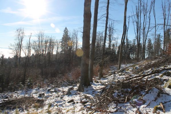 Klikněte pro zobrazení původního (velkého) obrázku