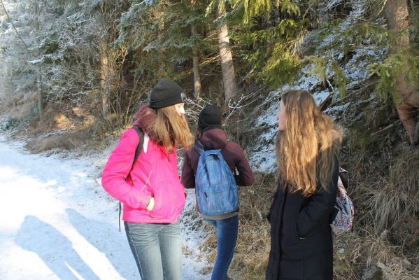 Klikněte pro zobrazení původního (velkého) obrázku