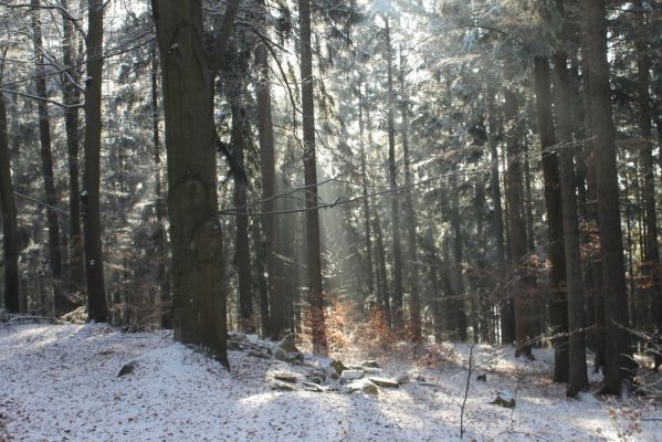 Klikněte pro zobrazení původního (velkého) obrázku