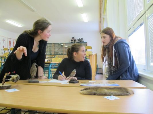 Klikněte pro zobrazení původního (velkého) obrázku