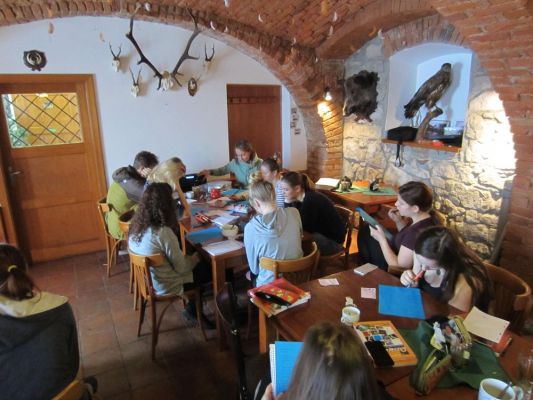 Klikněte pro zobrazení původního (velkého) obrázku