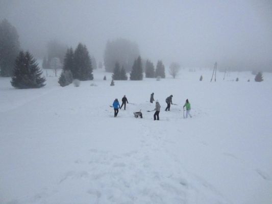 Klikněte pro zobrazení původního (velkého) obrázku