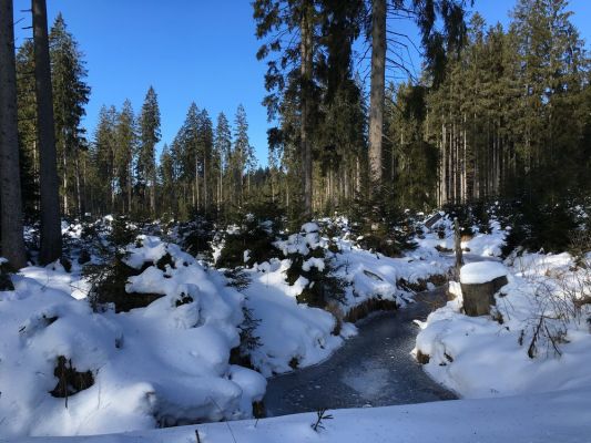 Klikněte pro zobrazení původního (velkého) obrázku