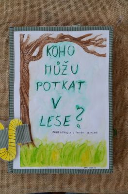 Klikněte pro zobrazení původního (velkého) obrázku