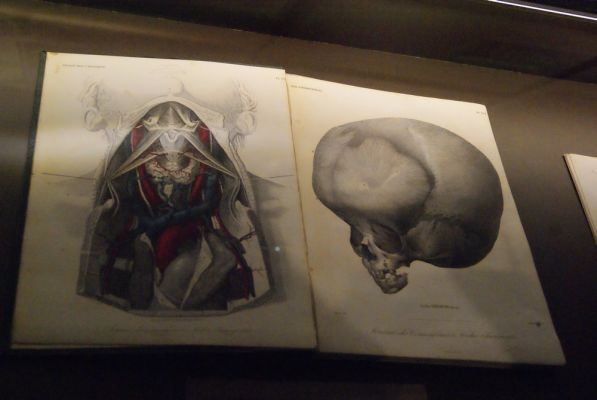 Klikněte pro zobrazení původního (velkého) obrázku