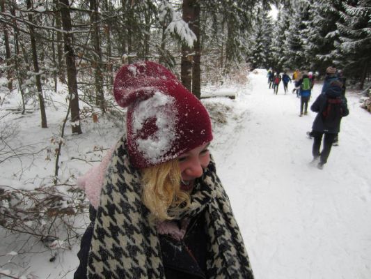 Klikněte pro zobrazení původního (velkého) obrázku