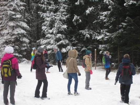 Klikněte pro zobrazení původního (velkého) obrázku