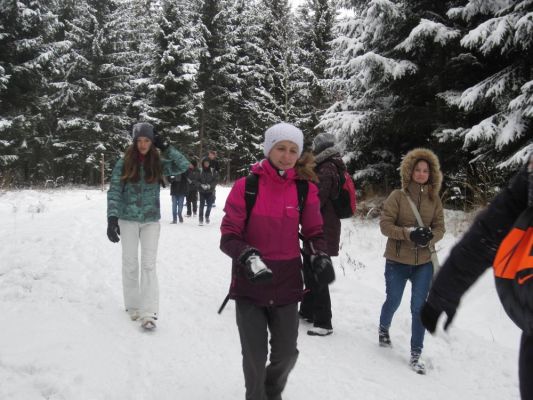 Klikněte pro zobrazení původního (velkého) obrázku