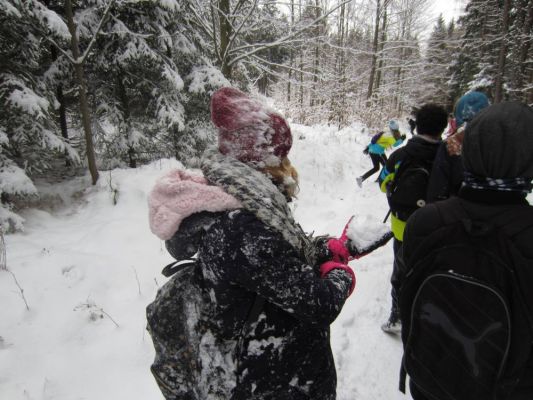 Klikněte pro zobrazení původního (velkého) obrázku